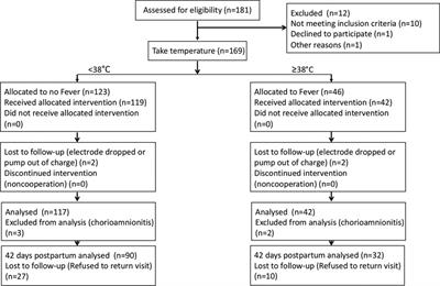 Association between epidural-related maternal fever and short-and long-term prognosis of parturients: A prospective observational study